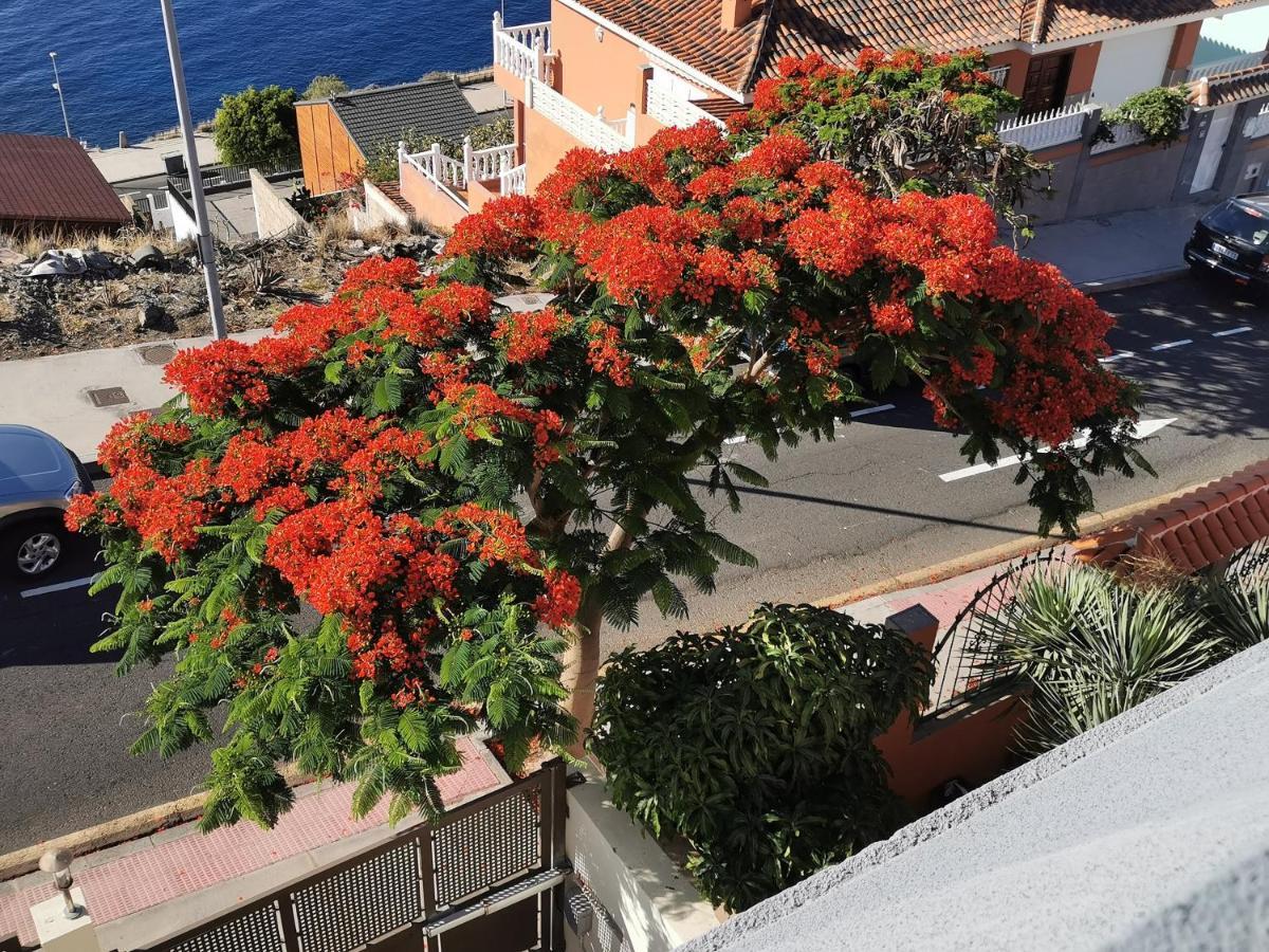 Balcon De Costanera Villa Santa Cruz de Tenerife Exterior foto
